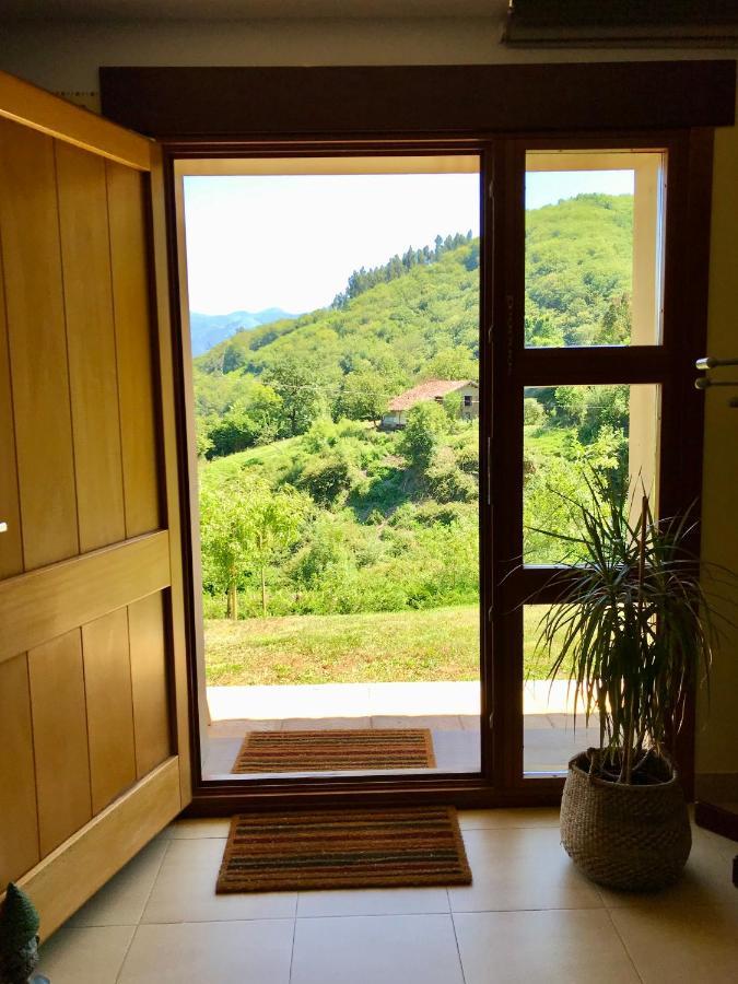Loft 80 Mts En Un Entorno Natural. Mieres  Buitenkant foto