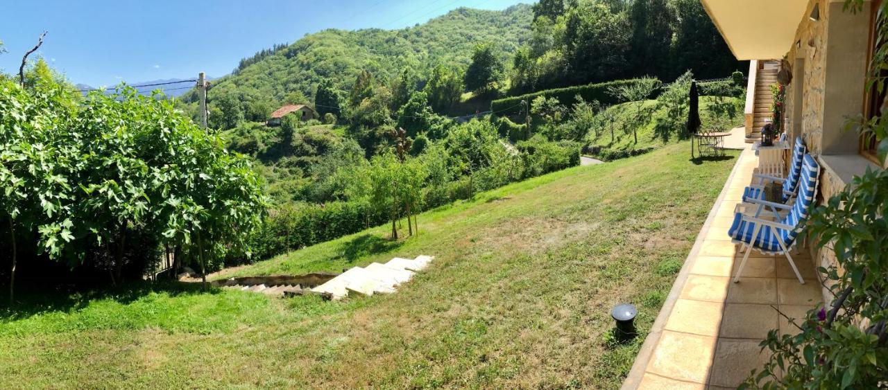 Loft 80 Mts En Un Entorno Natural. Mieres  Buitenkant foto