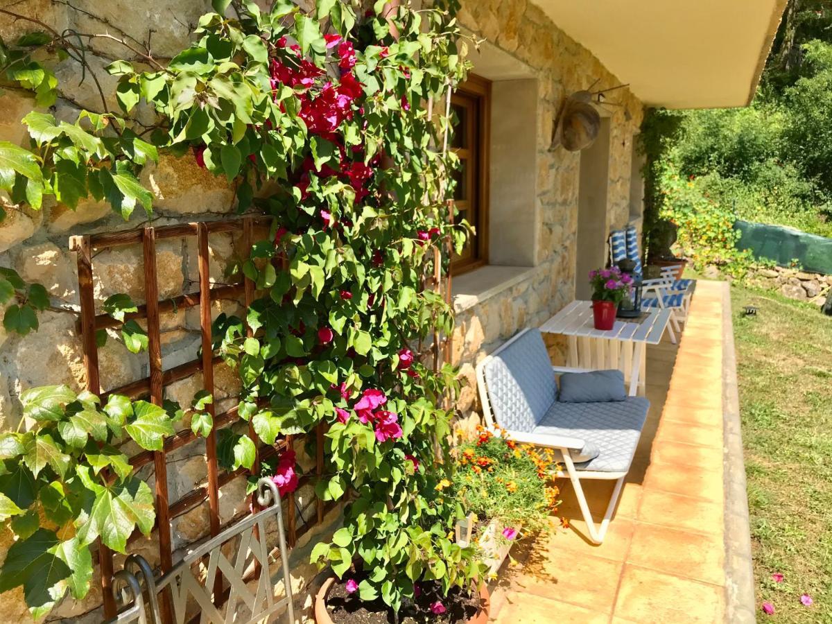 Loft 80 Mts En Un Entorno Natural. Mieres  Buitenkant foto
