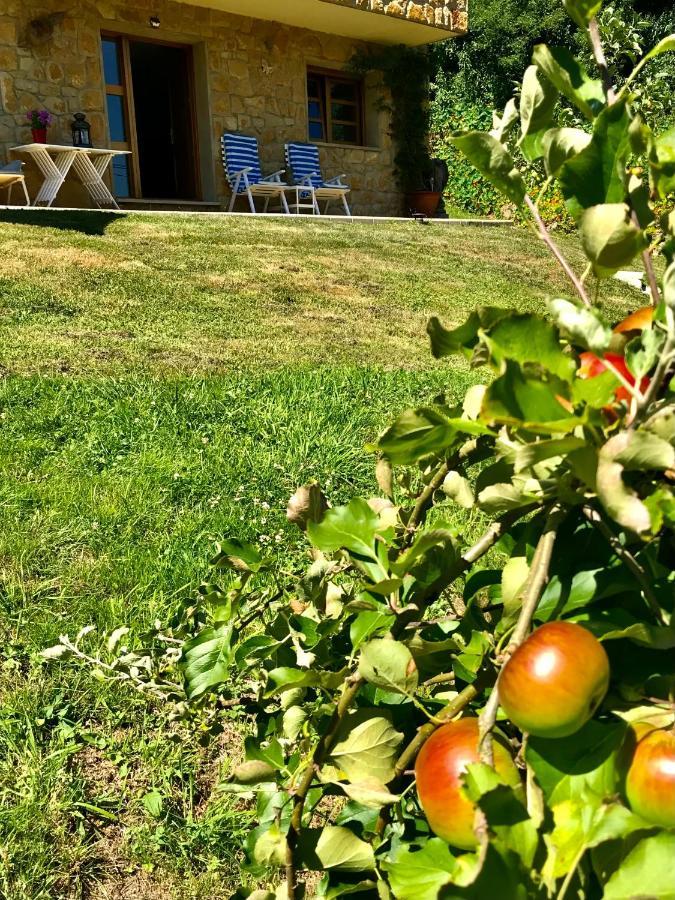 Loft 80 Mts En Un Entorno Natural. Mieres  Buitenkant foto
